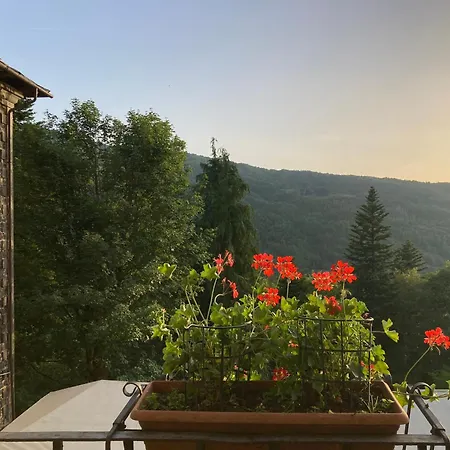Hotel Ristorante Regina 3*